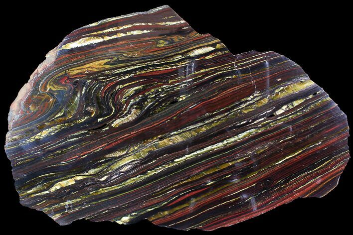 Polished Tiger Iron Stromatolite - ( Billion Years) #92815